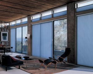 Duette Honeycomb Shades with Vertiglide