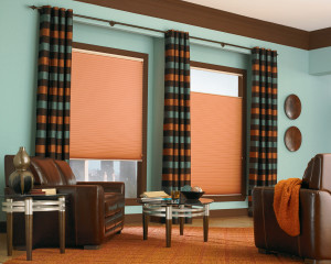Pair Drapery with Shades